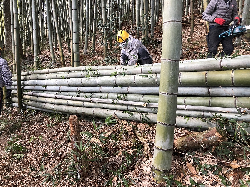 【竹林整備事業-3】竹の棚積みに挑戦