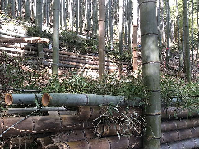 竹林整備事業