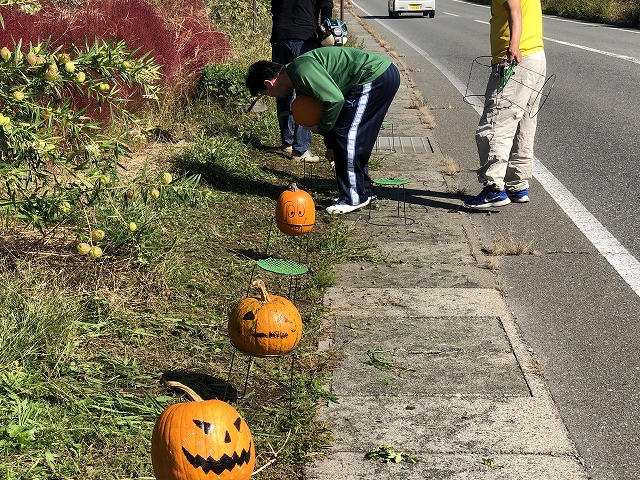 ハロウィンかぼちゃ