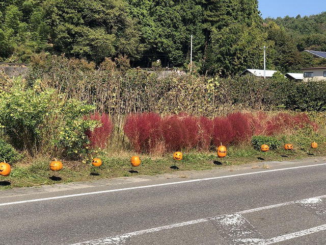 ハロウィンかぼちゃ