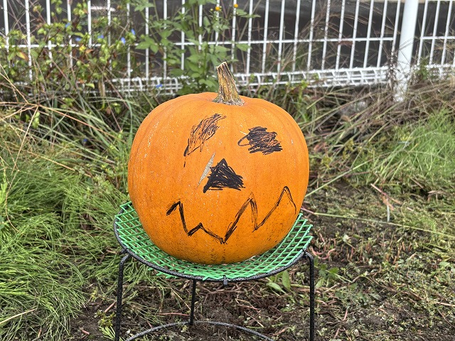 2025年ハロウィンかぼちゃ